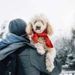 Happy pet and his owner having fun in the snow in winter holiday season.